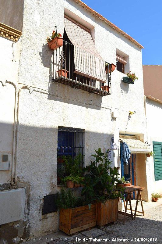 21 ALICANTE L ILE DE TABARCA (164).JPG